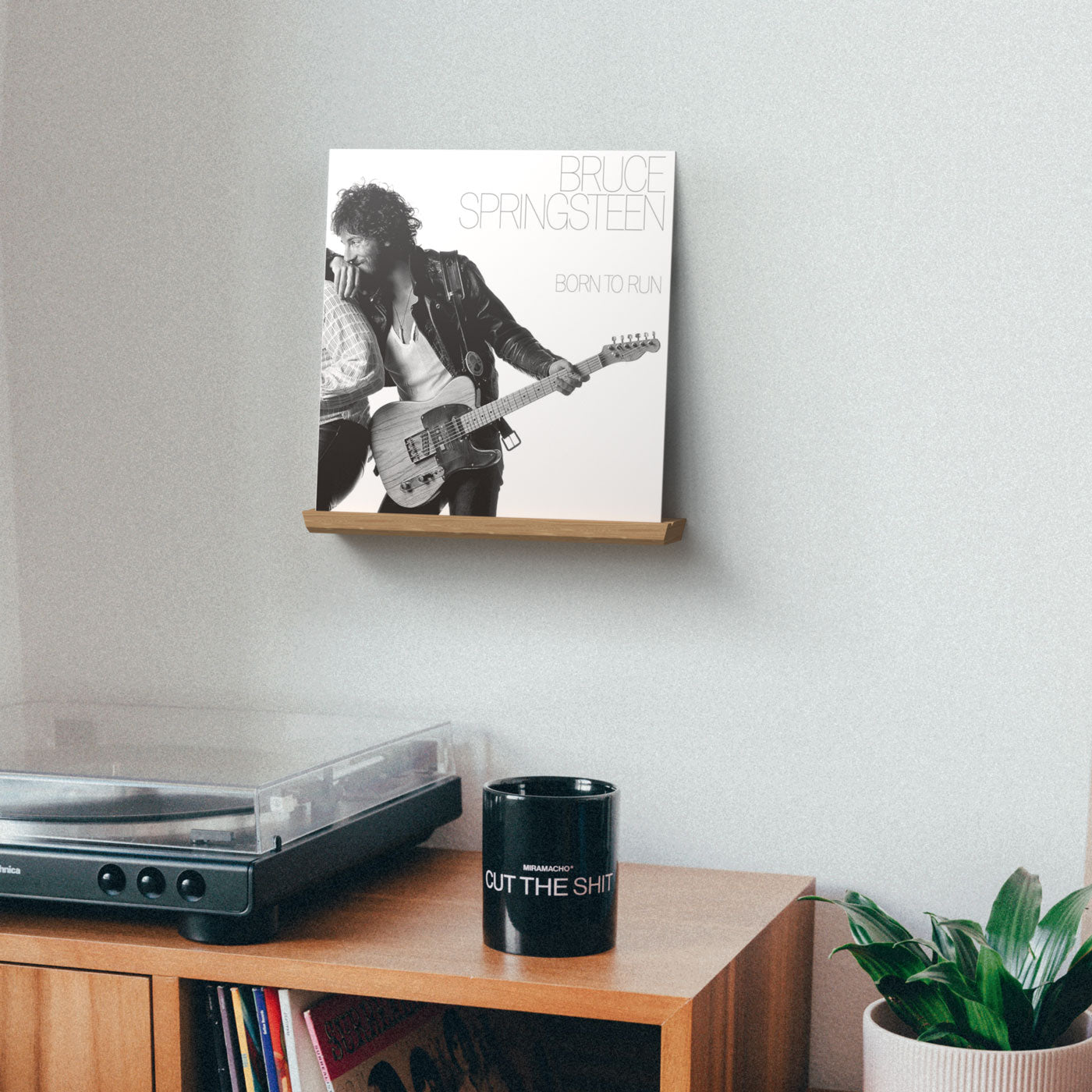 Vinyl Record Shelf Wall Mount Vinyl Holder Wall PET Album Record Holder  Display Your Daily LP For Home Decoration